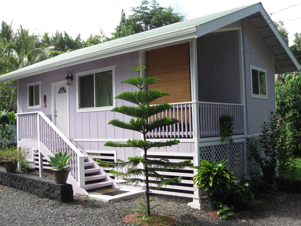 The Dolphin Cottage At Kehena Beach Kültér fotó