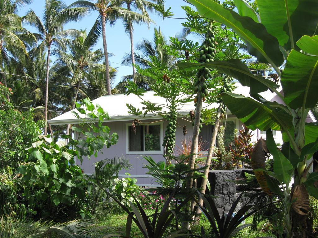 The Dolphin Cottage At Kehena Beach Kültér fotó