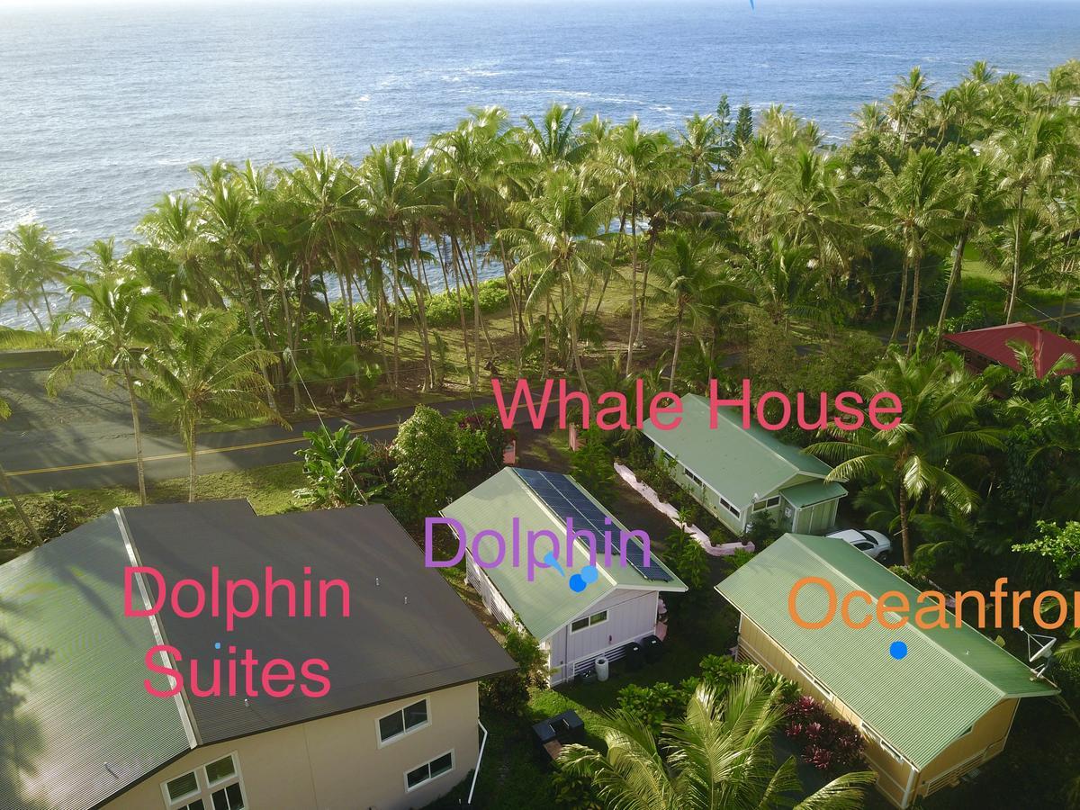 The Dolphin Cottage At Kehena Beach Kültér fotó